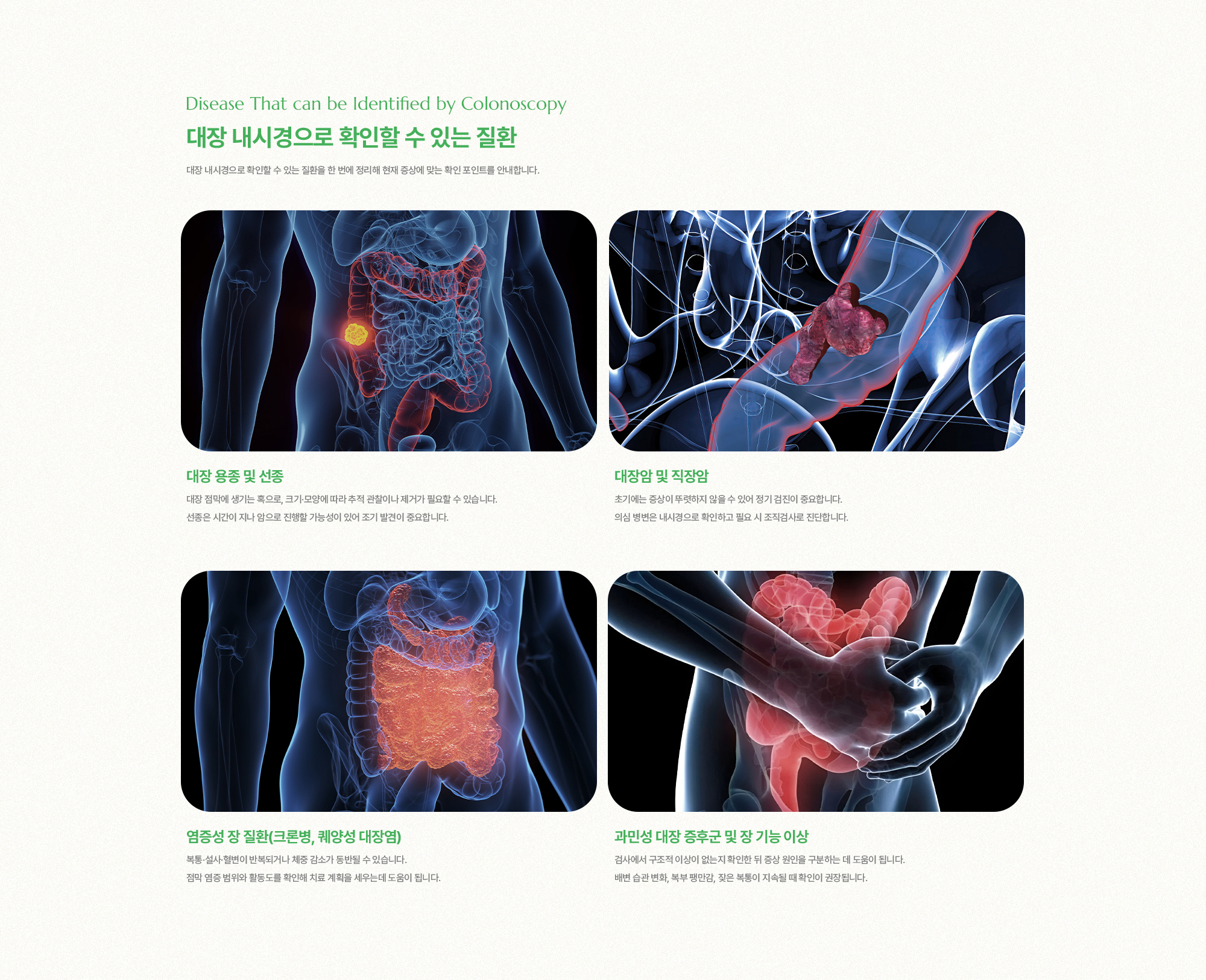 대장 내시경으로 확인할 수 있는 질환 | 대장 내시경으로 확인할 수 있는 질환을 한 번에 정리해 현재 증상에 맞는 확인 포인트를 안내합니다.